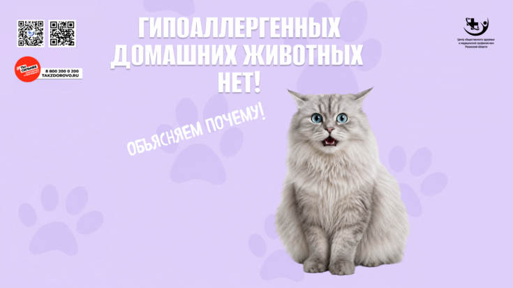 «Гипоаллергенных» домашних животных не бывает! 1