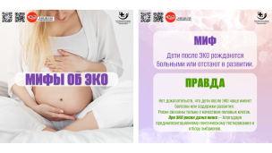 Мифы и правда об ЭКО