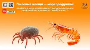 Перекрёстная аллергия — что это?