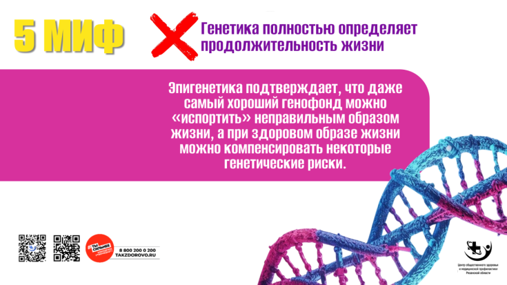 Долголетие без мифов: разбираем популярные заблуждения
